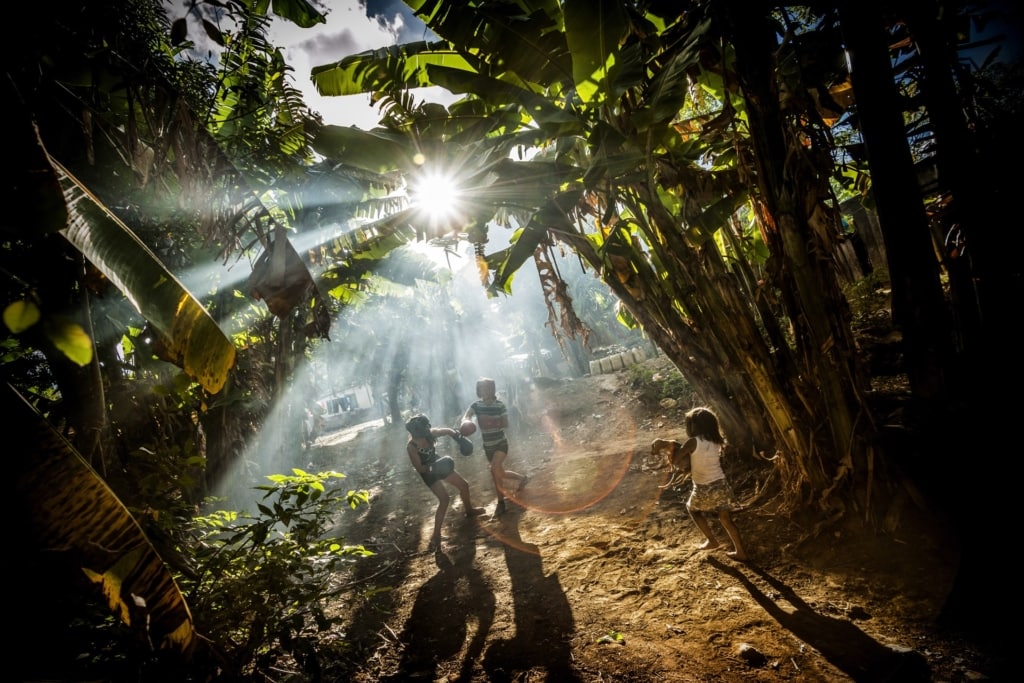 Photo of children practicing boxing among trees as light shines through