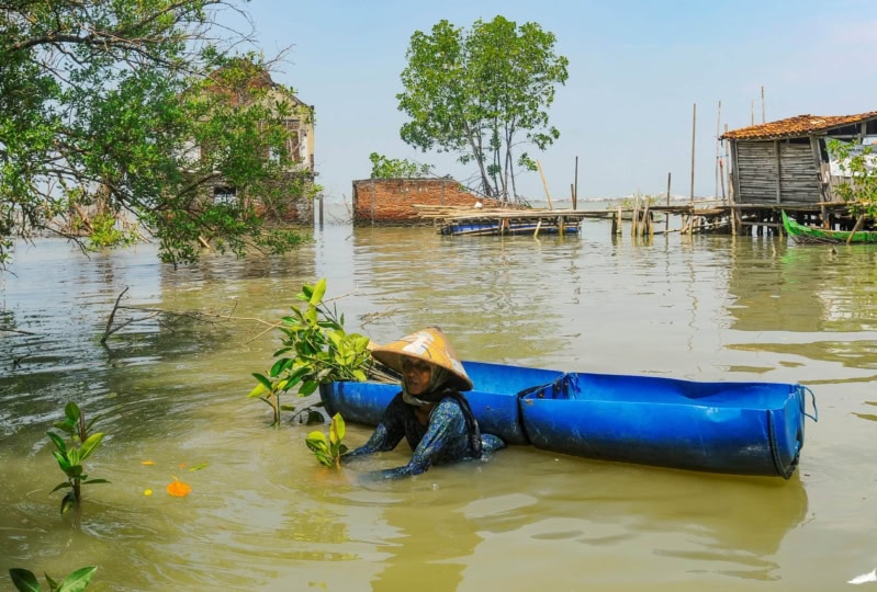 Woman wearing hat and blue outfit standing in body of water that is chest high next to a blue kayak while pulling plants