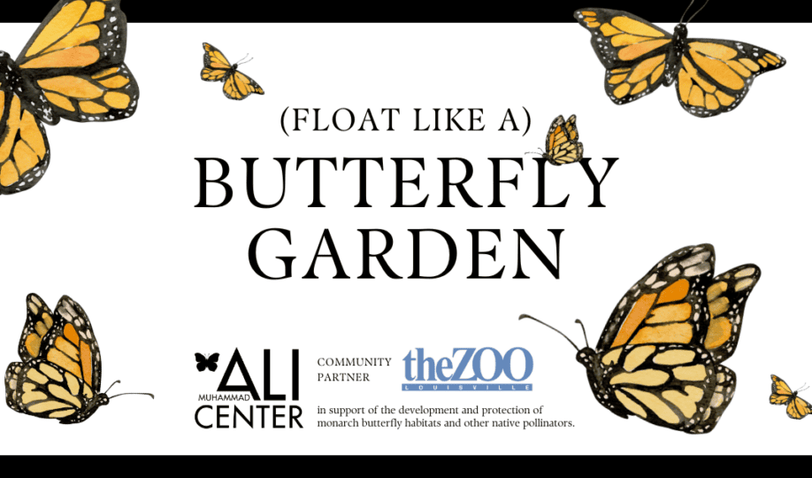 Images of butterfly on white background with dark outline, featuring text "(Float Like a) Butterfly Garden" and Muhammad Ali Center and Louisville Zoo logos